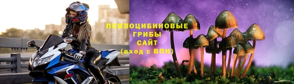 бошки Богданович