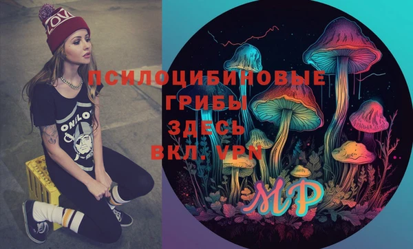 шишки Богородск