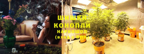 шишки Богородск