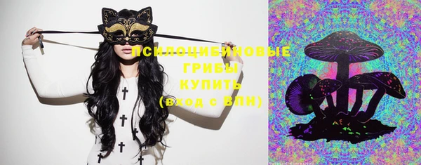 бошки Богданович