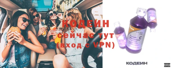 шишки Богородск